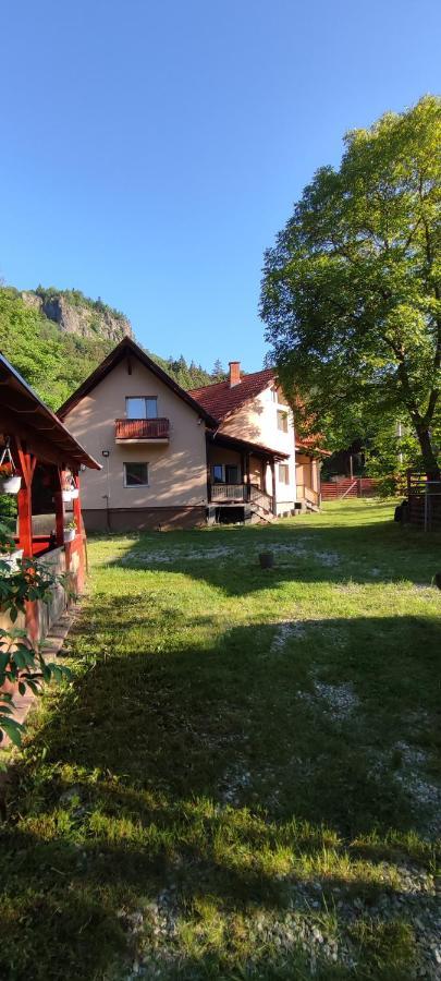 Olt-Part Vendégház BaileTusnad Exterior foto
